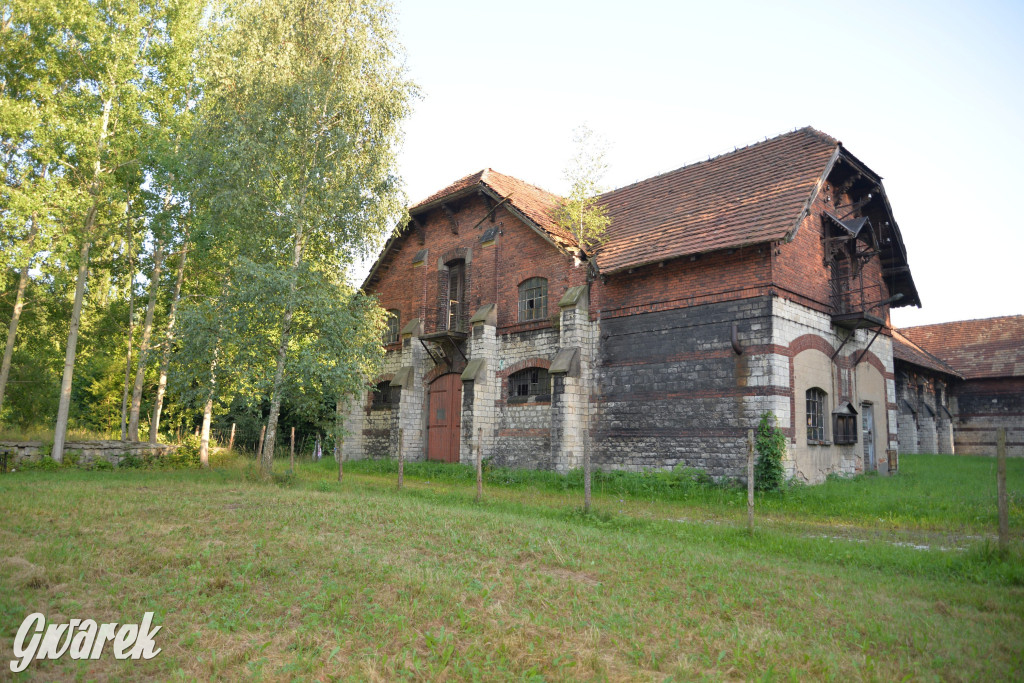 Świerklaniec. Potencjał majątku Donnersmarcków