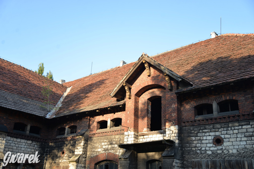 Świerklaniec. Potencjał majątku Donnersmarcków