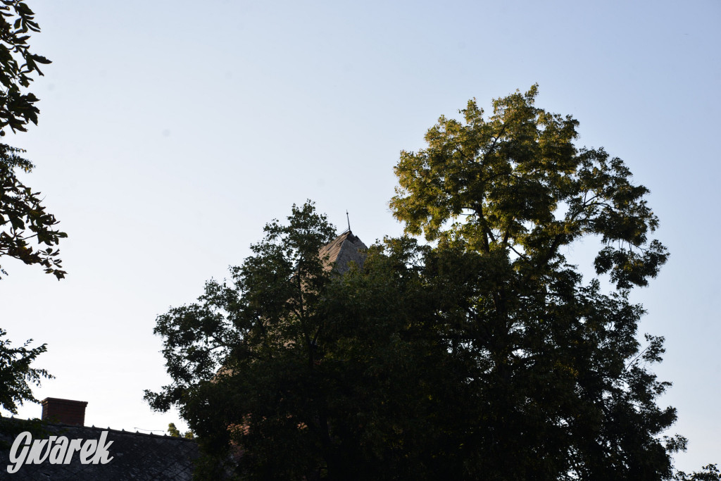 Świerklaniec. Potencjał majątku Donnersmarcków