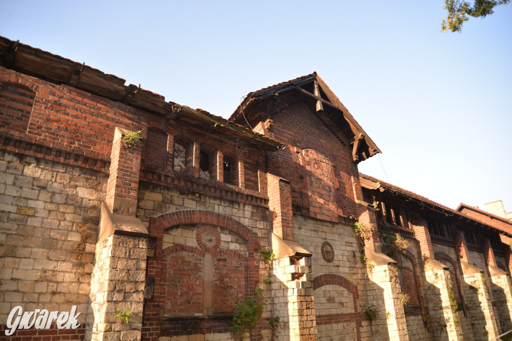 Świerklaniec. Potencjał majątku Donnersmarcków