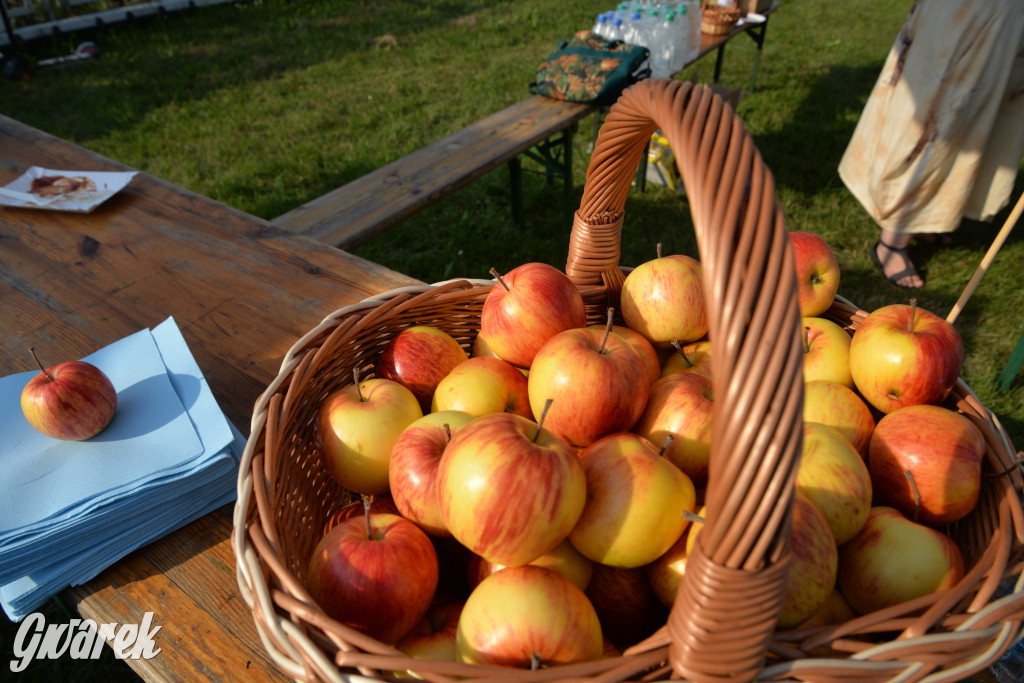Tak się bawi Strzybnica! [ZDJĘCIA]