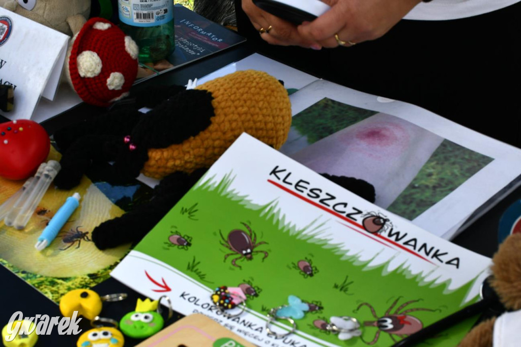 Kopalnia Zdrowia: badania, edukacja, koncert Śląska