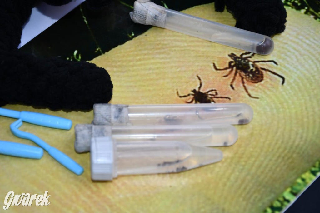 Kopalnia Zdrowia: badania, edukacja, koncert Śląska