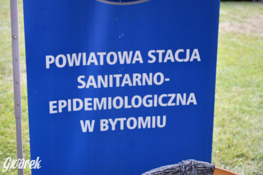 Kopalnia Zdrowia: badania, edukacja, koncert Śląska