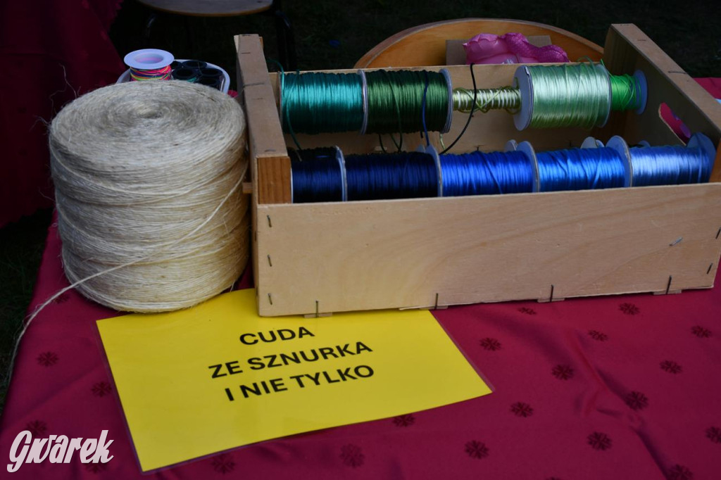 Kopalnia Zdrowia: badania, edukacja, koncert Śląska