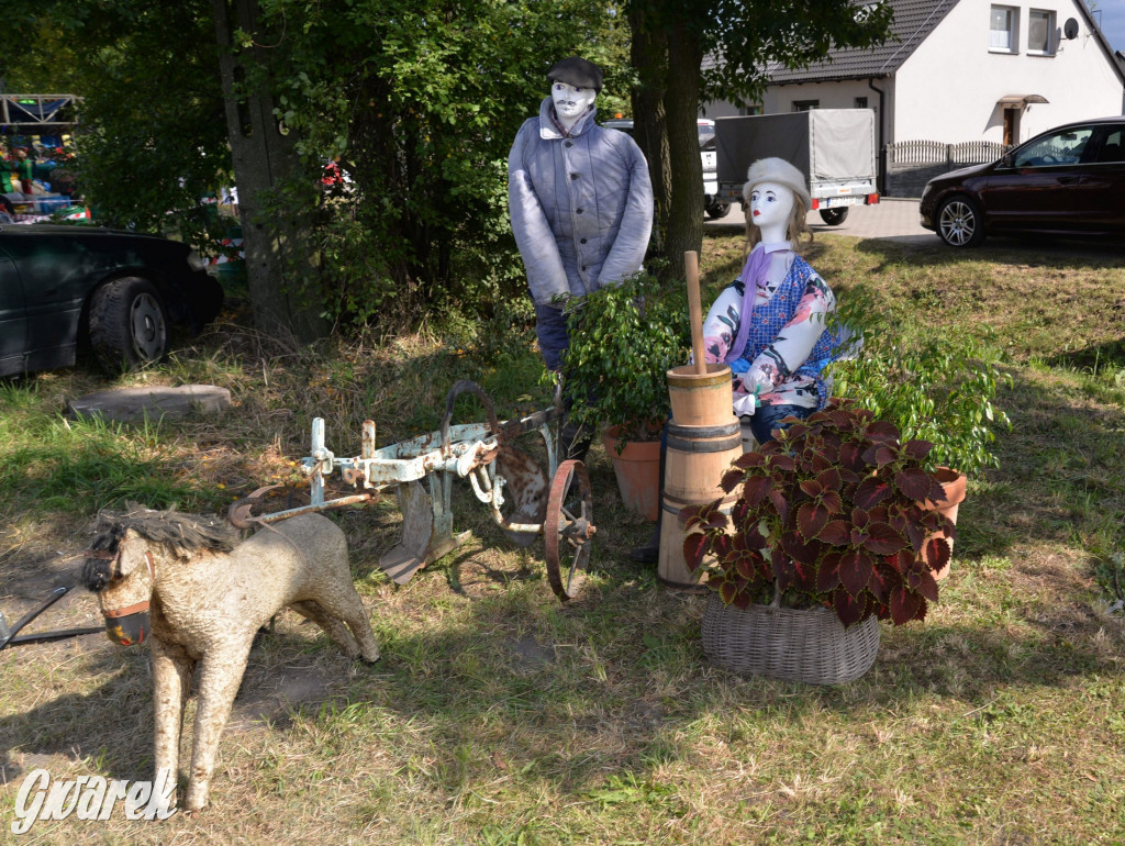 Dożynki przy pałacu. Baciary i wiele atrakcji