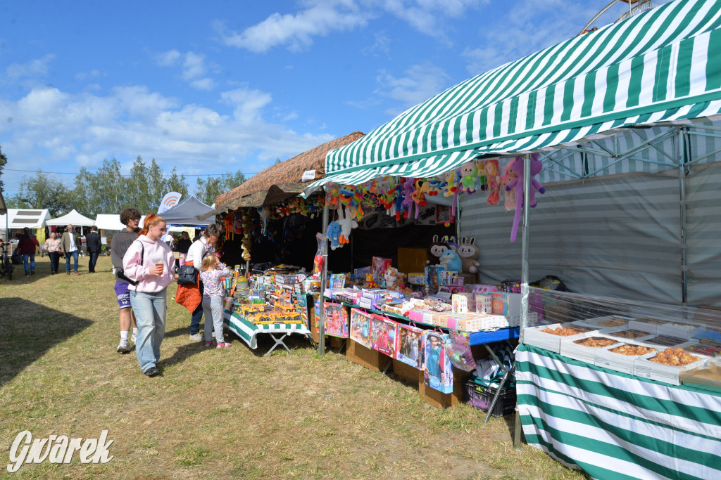 Dożynki przy pałacu. Baciary i wiele atrakcji