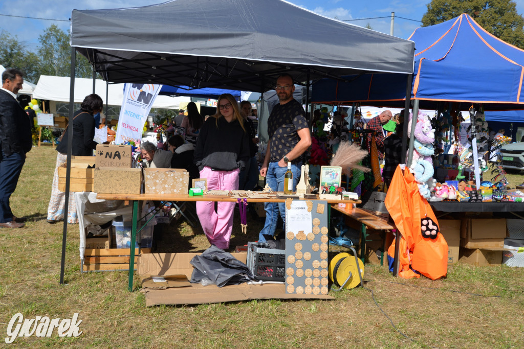 Dożynki przy pałacu. Baciary i wiele atrakcji