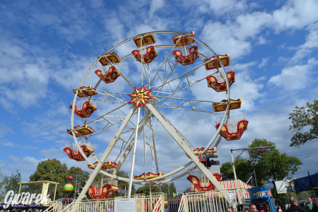 Dożynki przy pałacu. Baciary i wiele atrakcji