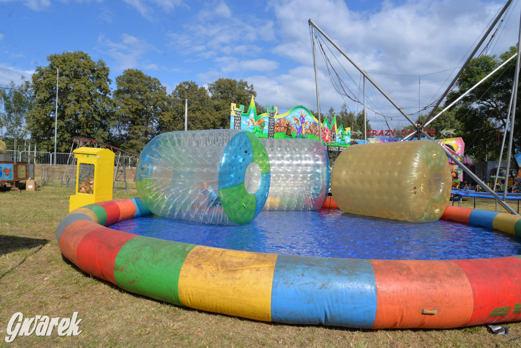 Dożynki przy pałacu. Baciary i wiele atrakcji