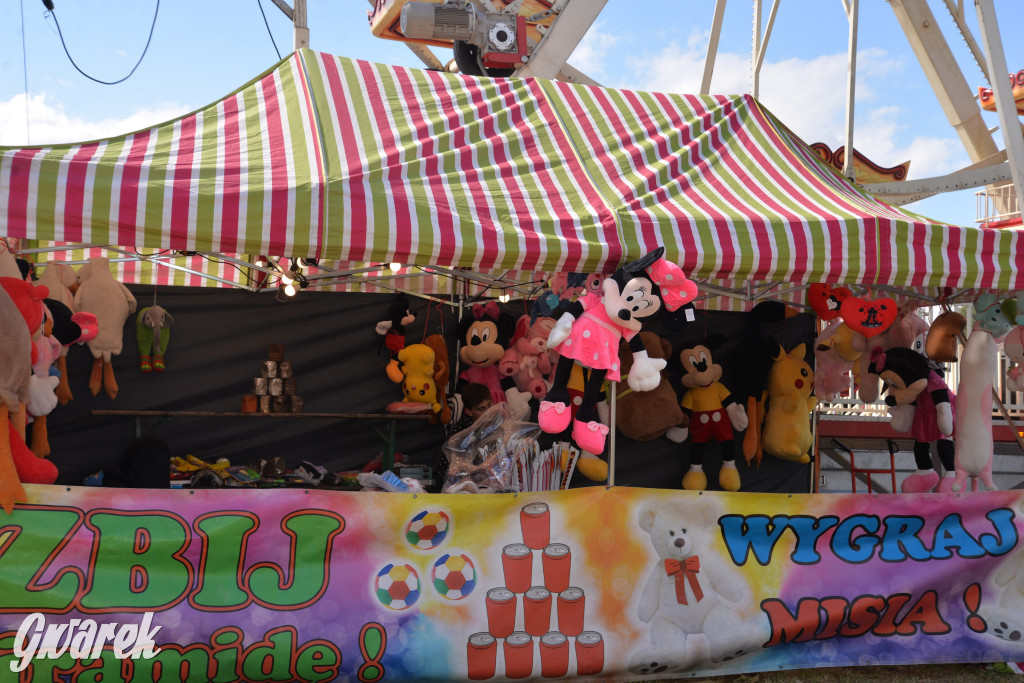 Dożynki przy pałacu. Baciary i wiele atrakcji