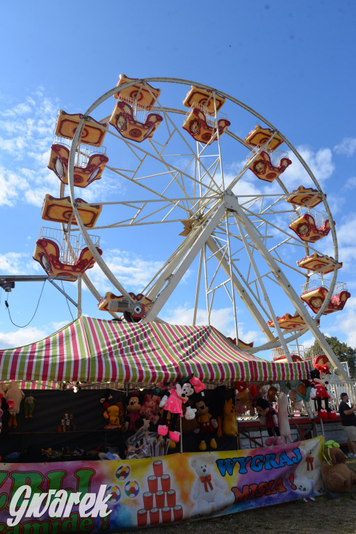 Dożynki przy pałacu. Baciary i wiele atrakcji