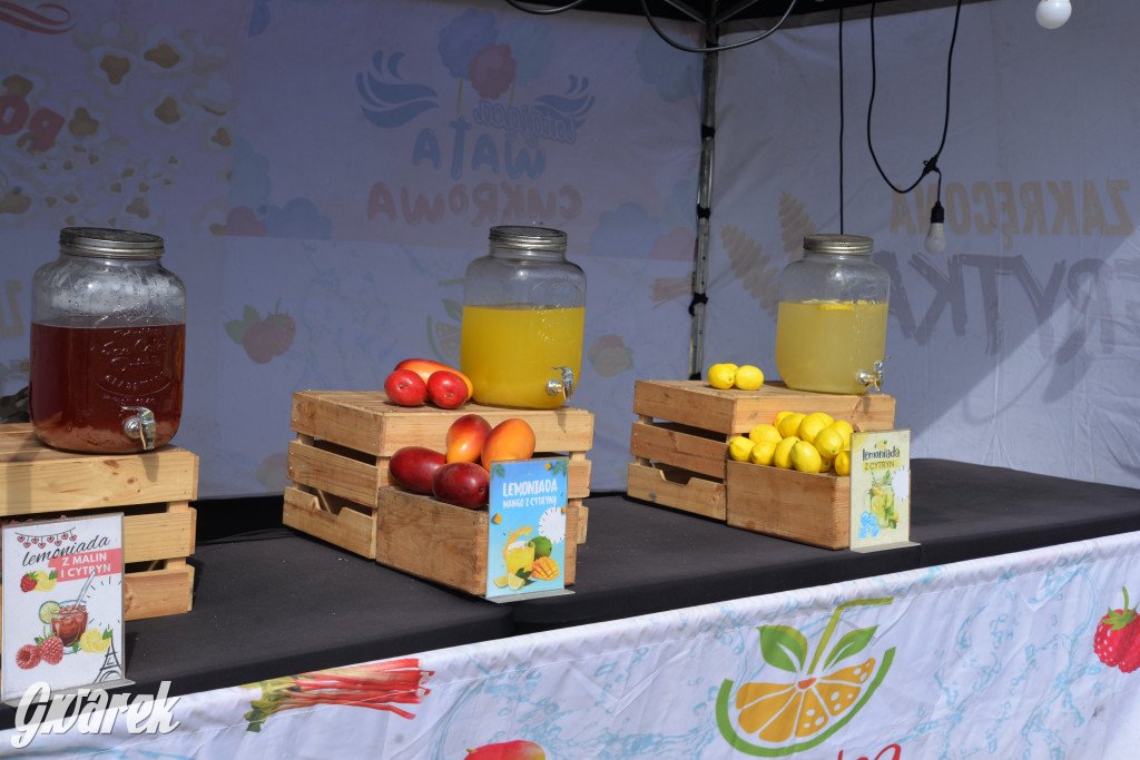 Dożynki przy pałacu. Baciary i wiele atrakcji