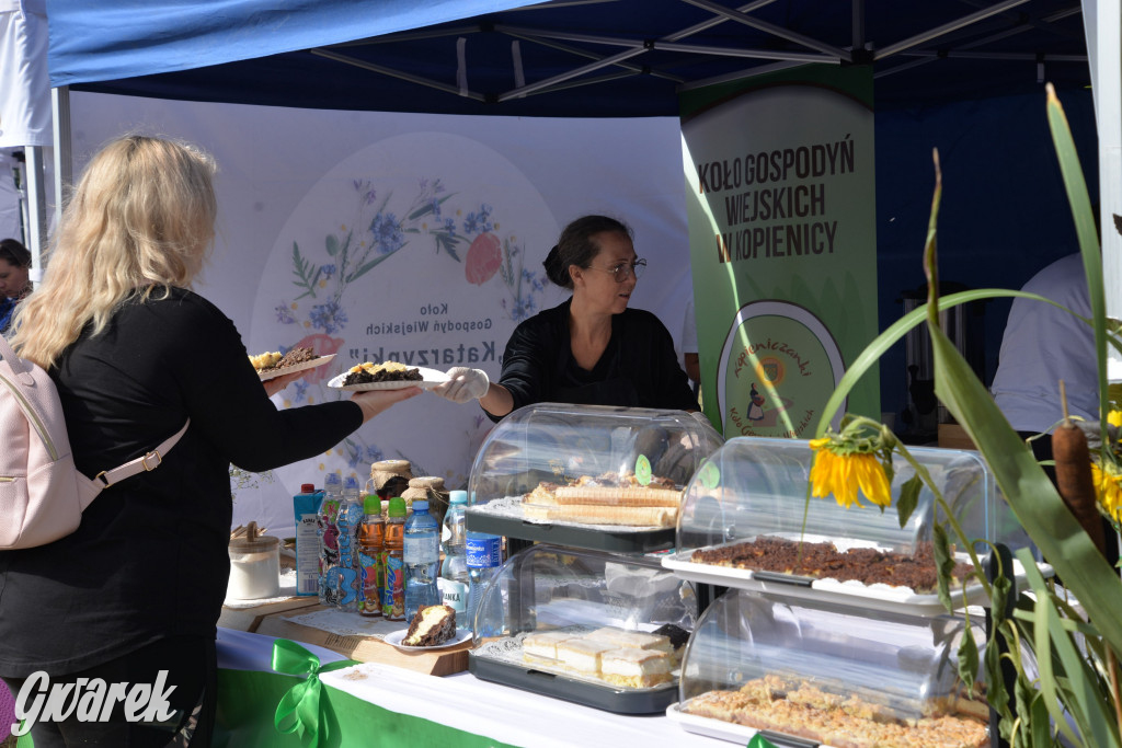 Dożynki przy pałacu. Baciary i wiele atrakcji