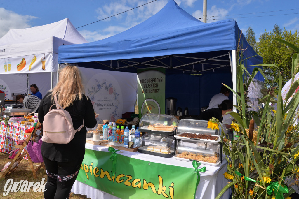 Dożynki przy pałacu. Baciary i wiele atrakcji