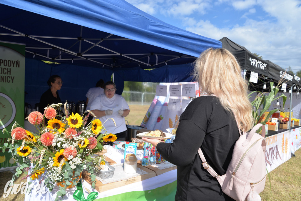 Dożynki przy pałacu. Baciary i wiele atrakcji
