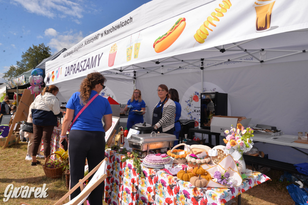 Dożynki przy pałacu. Baciary i wiele atrakcji
