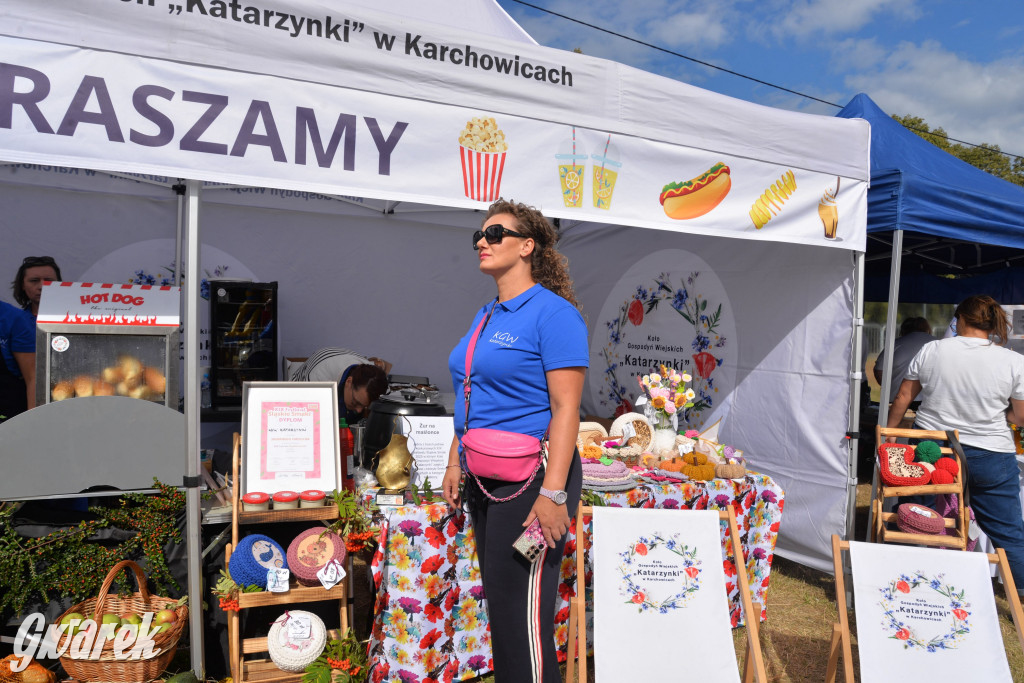 Dożynki przy pałacu. Baciary i wiele atrakcji