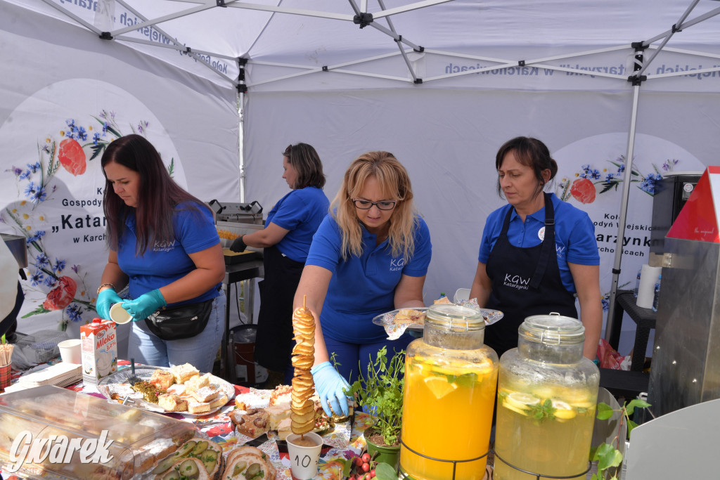 Dożynki przy pałacu. Baciary i wiele atrakcji