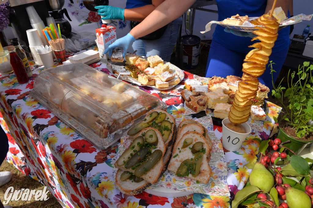 Dożynki przy pałacu. Baciary i wiele atrakcji