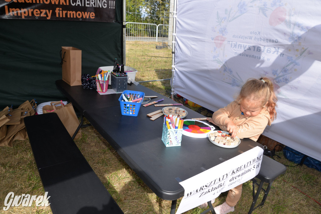 Dożynki przy pałacu. Baciary i wiele atrakcji