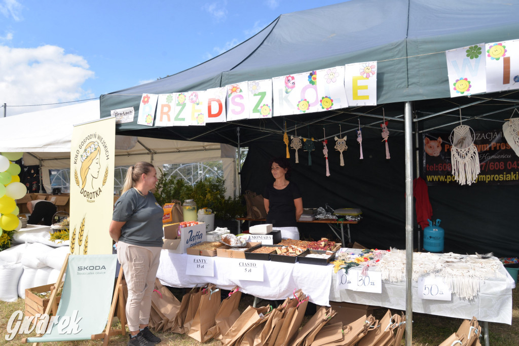 Dożynki przy pałacu. Baciary i wiele atrakcji