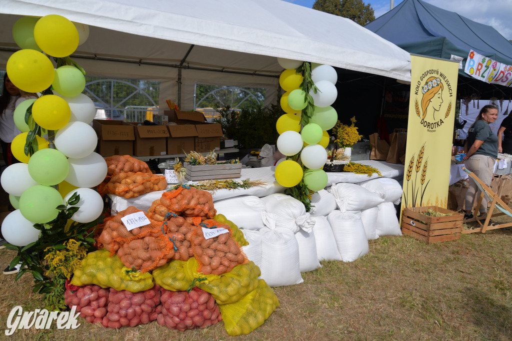 Dożynki przy pałacu. Baciary i wiele atrakcji