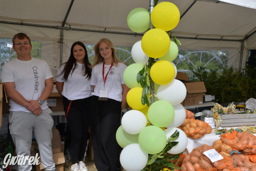 Dożynki przy pałacu. Baciary i wiele atrakcji