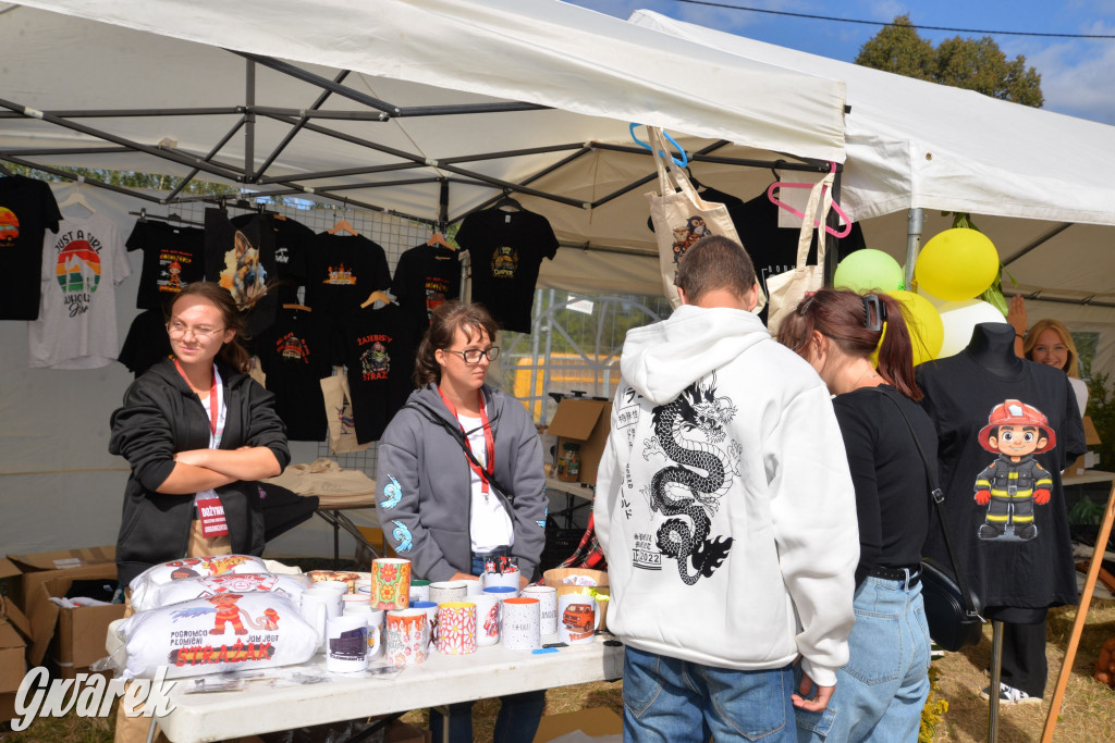 Dożynki przy pałacu. Baciary i wiele atrakcji