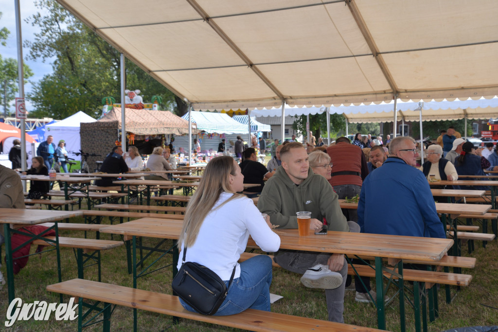 Dożynki przy pałacu. Baciary i wiele atrakcji