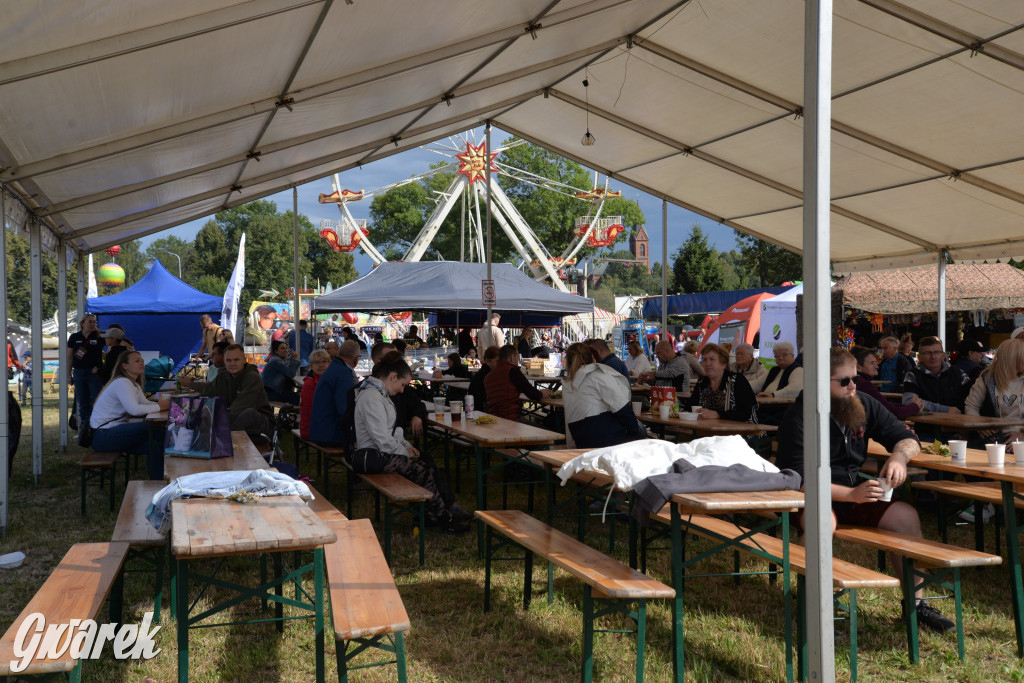 Dożynki przy pałacu. Baciary i wiele atrakcji