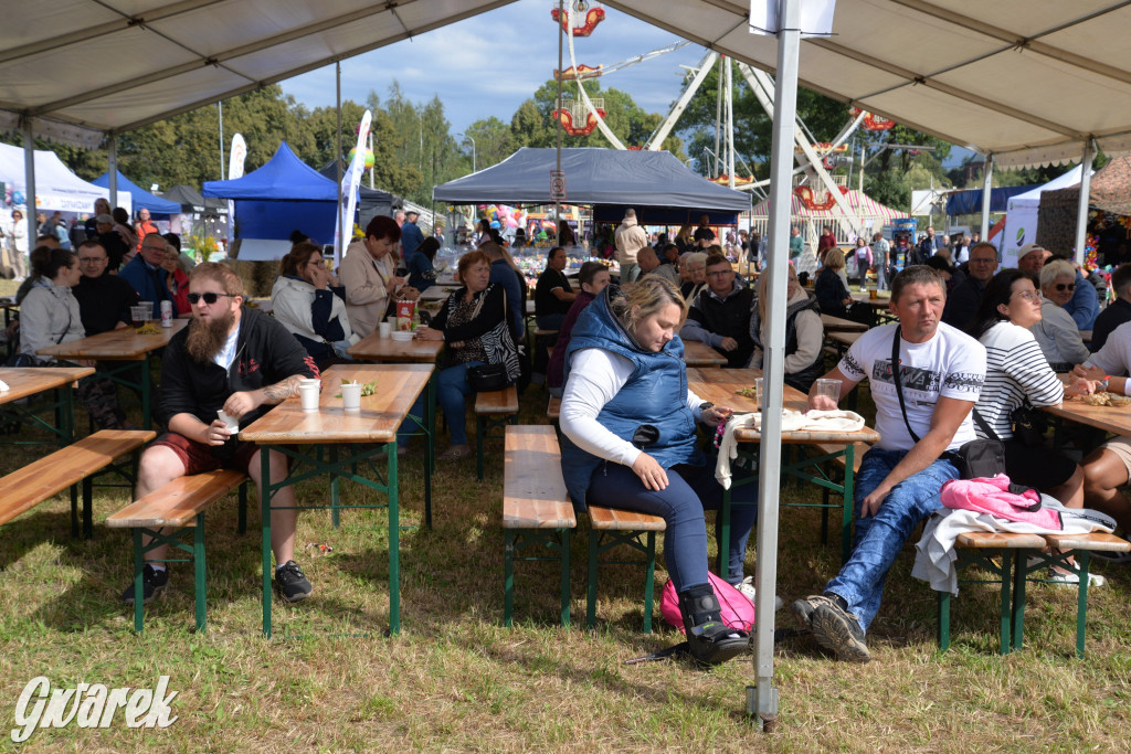 Dożynki przy pałacu. Baciary i wiele atrakcji