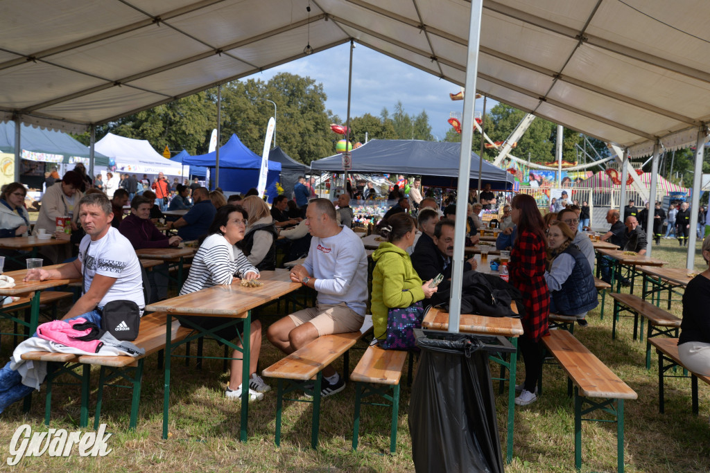 Dożynki przy pałacu. Baciary i wiele atrakcji