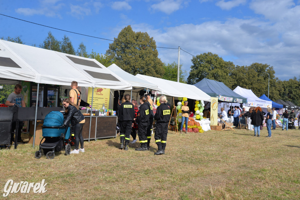 Dożynki przy pałacu. Baciary i wiele atrakcji