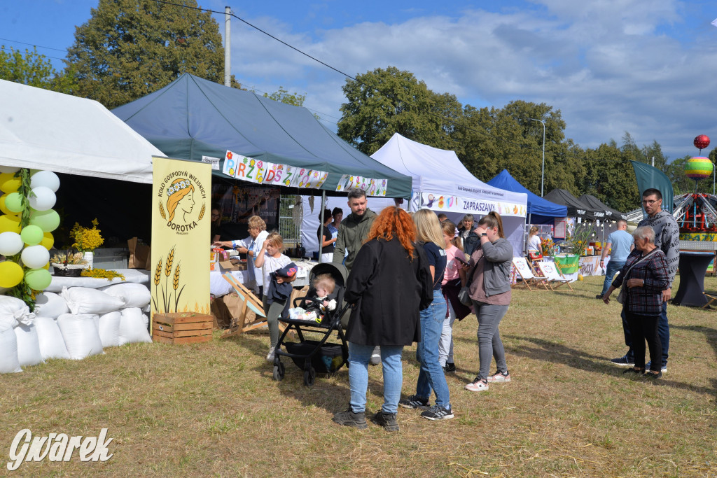 Dożynki przy pałacu. Baciary i wiele atrakcji