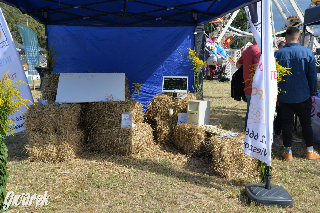 Dożynki przy pałacu. Baciary i wiele atrakcji