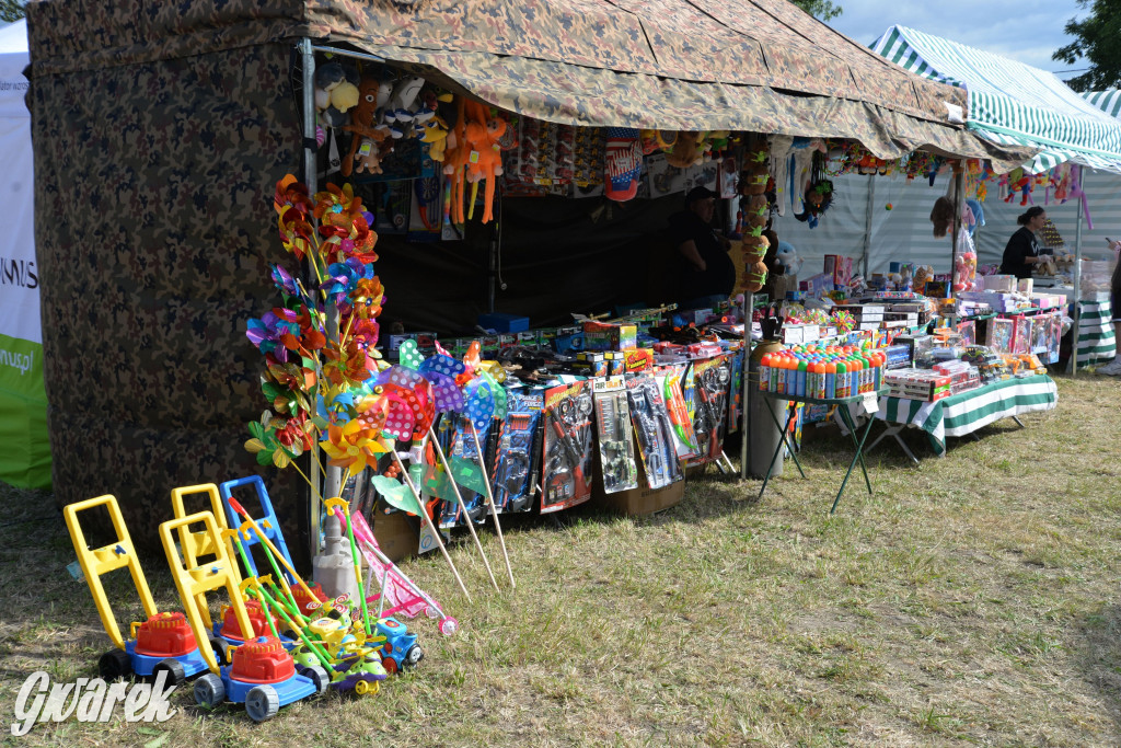 Dożynki przy pałacu. Baciary i wiele atrakcji