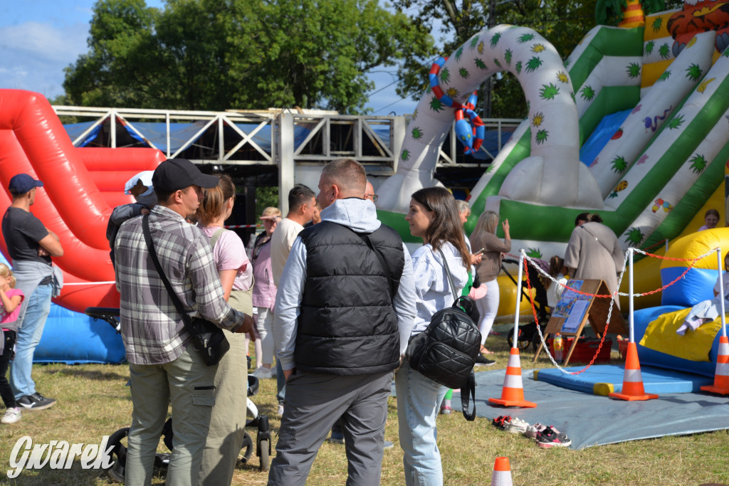 Dożynki przy pałacu. Baciary i wiele atrakcji