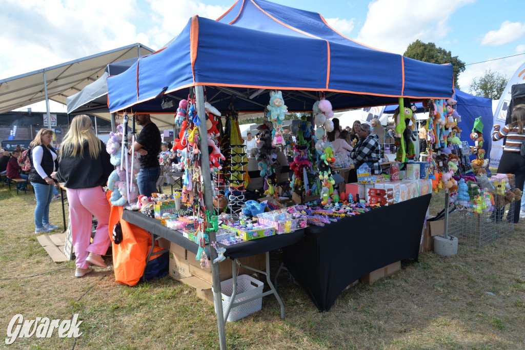 Dożynki przy pałacu. Baciary i wiele atrakcji