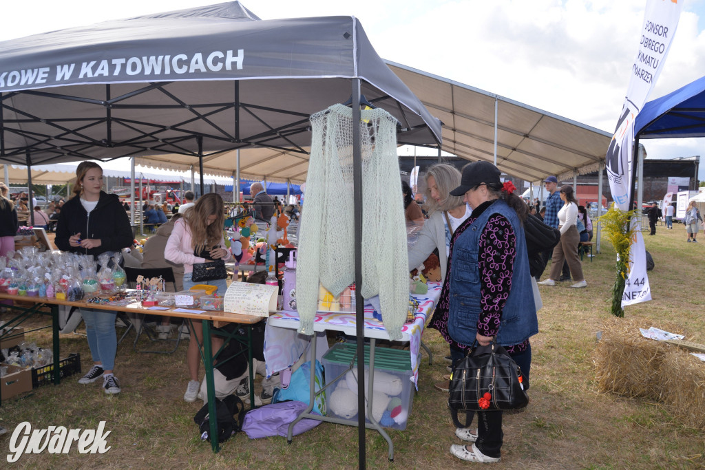 Dożynki przy pałacu. Baciary i wiele atrakcji