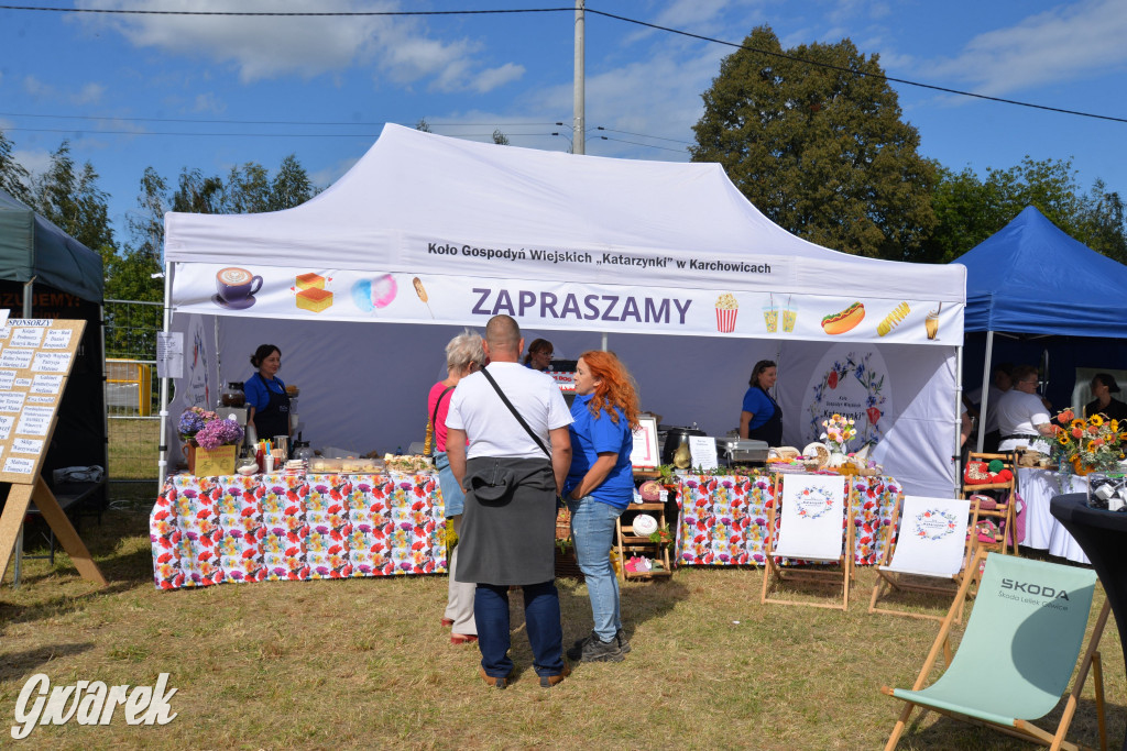 Dożynki przy pałacu. Baciary i wiele atrakcji