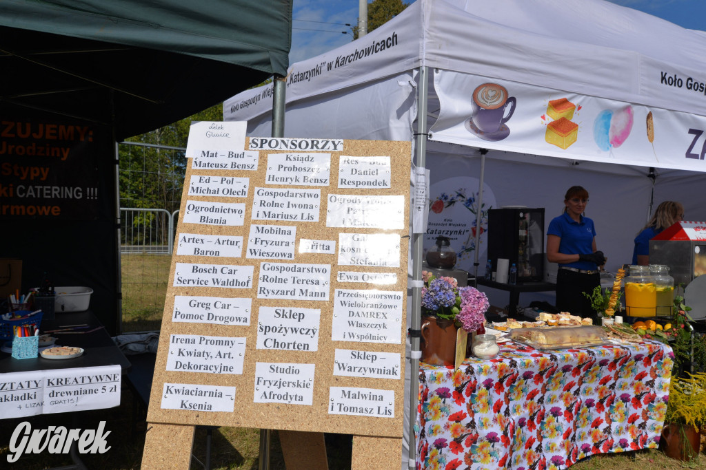 Dożynki przy pałacu. Baciary i wiele atrakcji