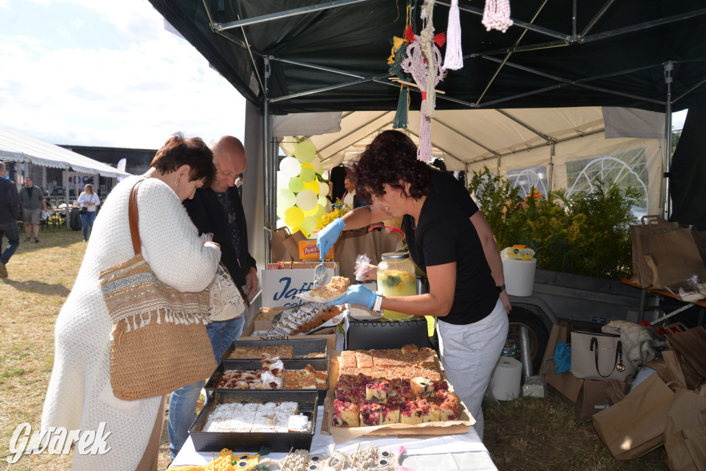 Dożynki przy pałacu. Baciary i wiele atrakcji
