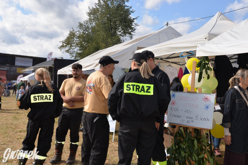 Dożynki przy pałacu. Baciary i wiele atrakcji