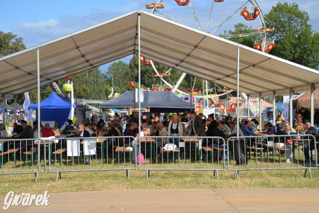 Dożynki przy pałacu. Baciary i wiele atrakcji