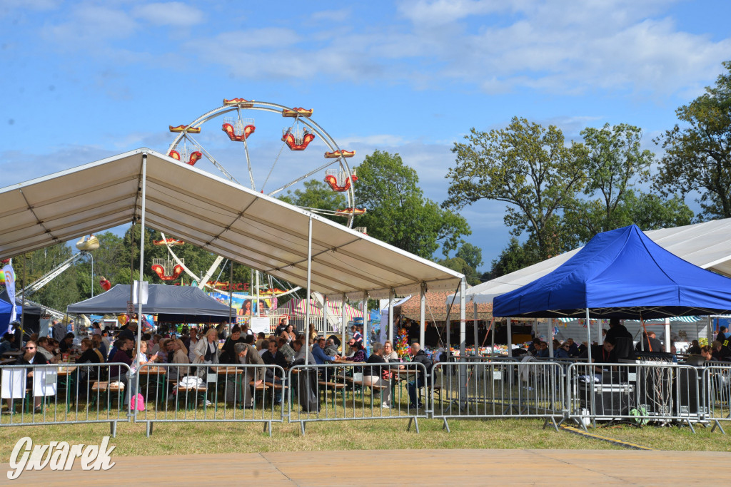 Dożynki przy pałacu. Baciary i wiele atrakcji
