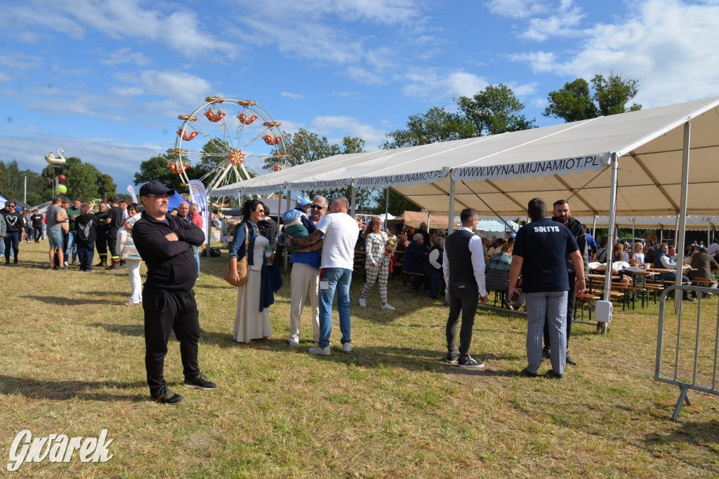 Dożynki przy pałacu. Baciary i wiele atrakcji