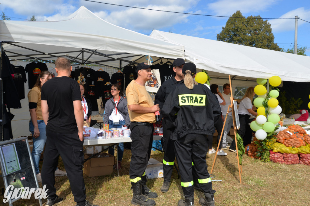 Dożynki przy pałacu. Baciary i wiele atrakcji