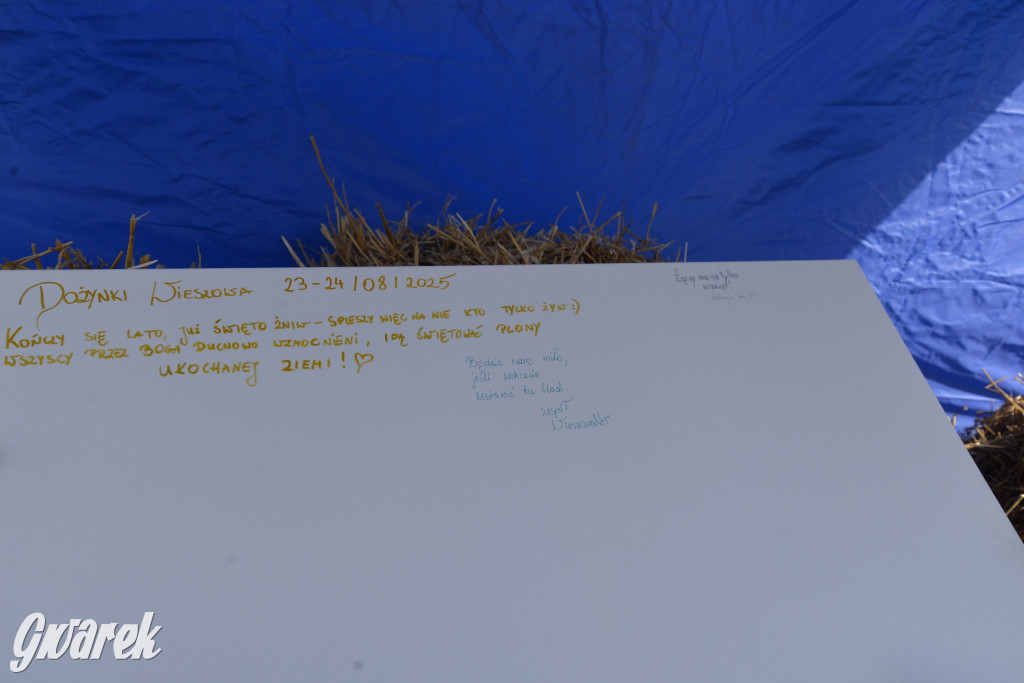 Dożynki przy pałacu. Baciary i wiele atrakcji