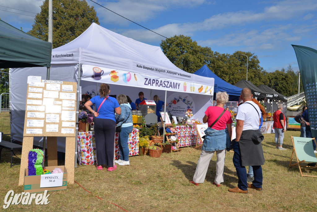 Dożynki przy pałacu. Baciary i wiele atrakcji